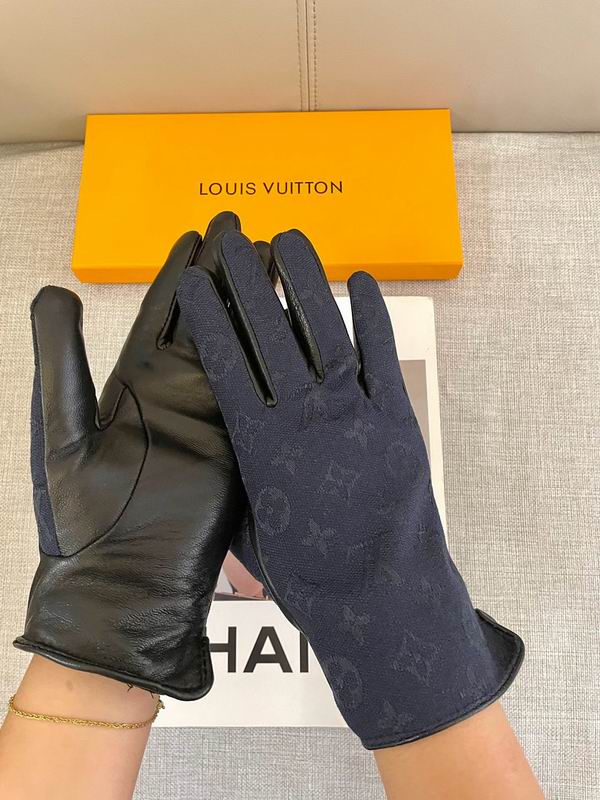 LV gloves hm21